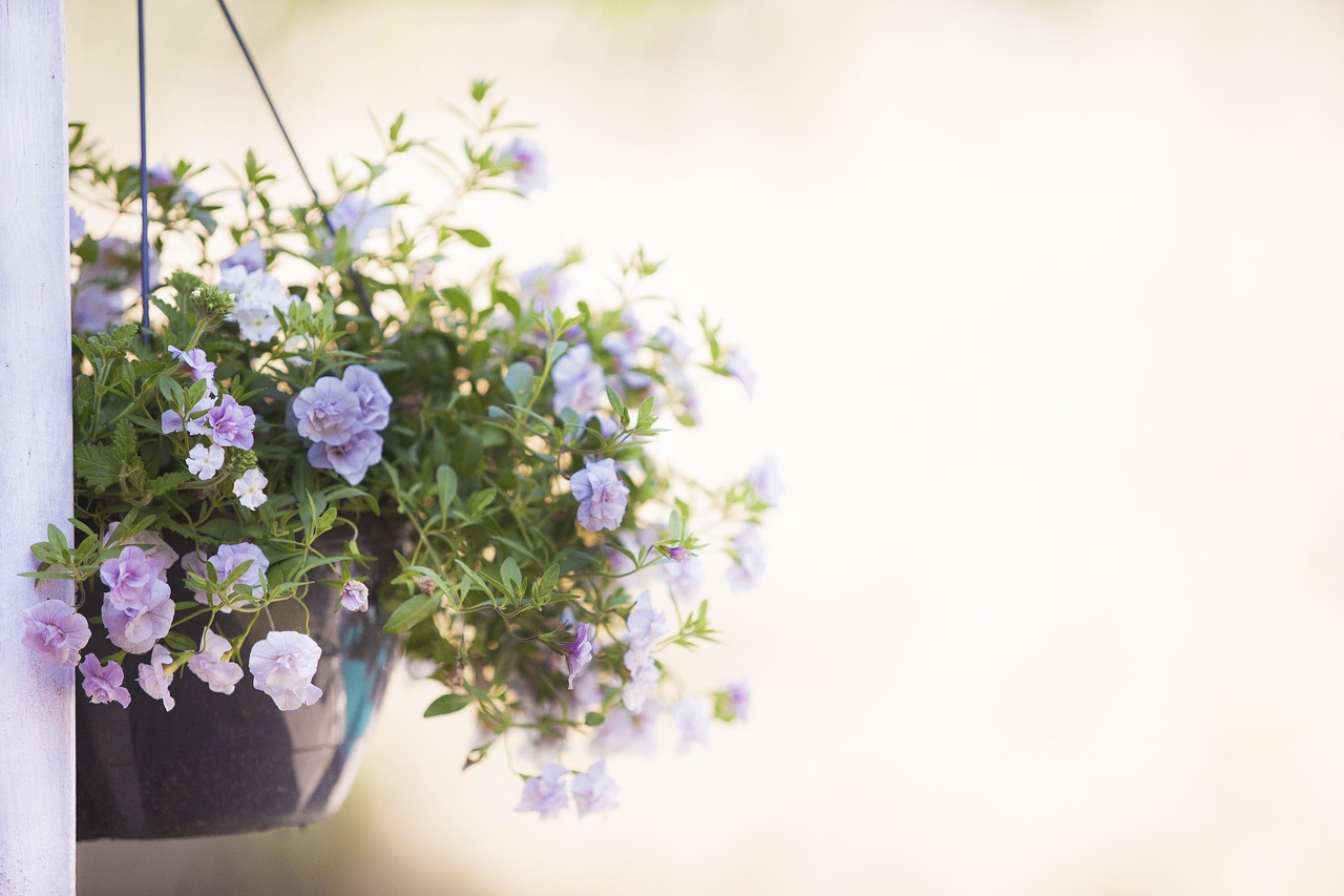 Fleurige hangende bloempotten verfraaien zomertuin.