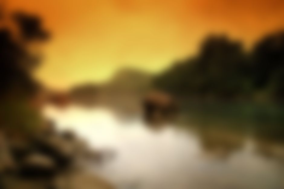 Sfeervol diner met ontspannende muziek op achtergrond.