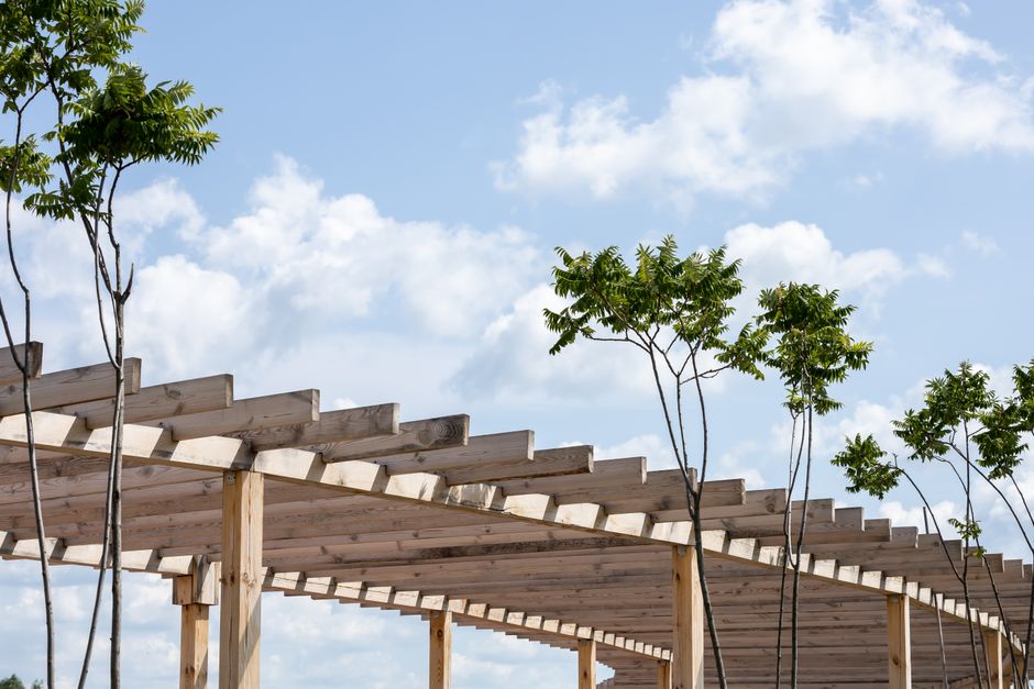 Moderne tuin met duurzame eco-vriendelijke pergola. Moderne tuin met duurzame eco-vriendelijke pergola.