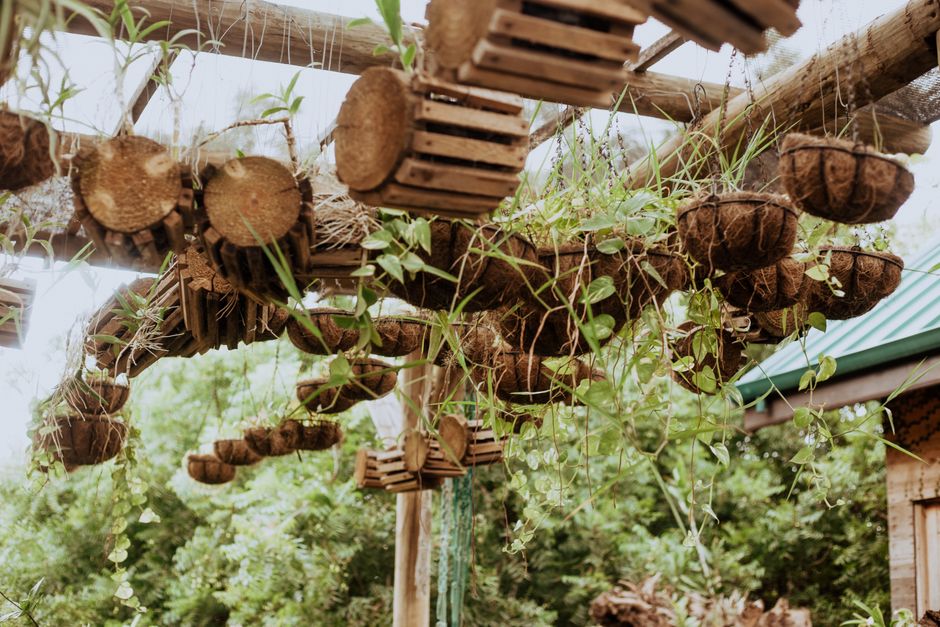 Houten pergola met groene klimplanten en zonnepanelen. Houten pergola met groene klimplanten en zonnepanelen.