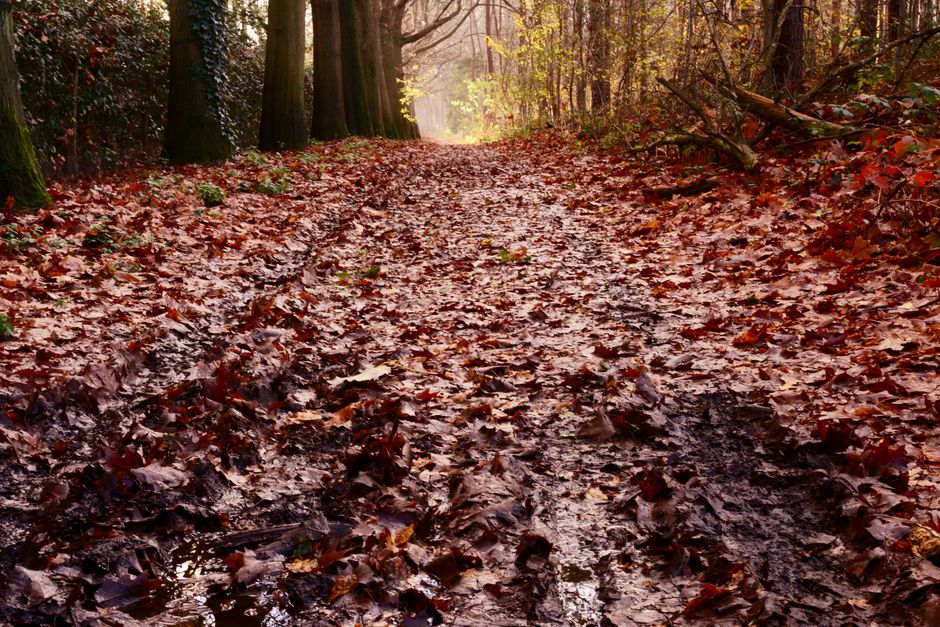 Kleurrijke herfstbladeren rond kaarsenhouder. Kleurrijke herfstbladeren rond kaarsenhouder.