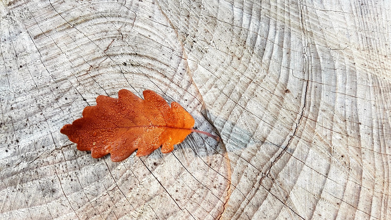 Warme herfstkleuren in vensterbankdecoratie.