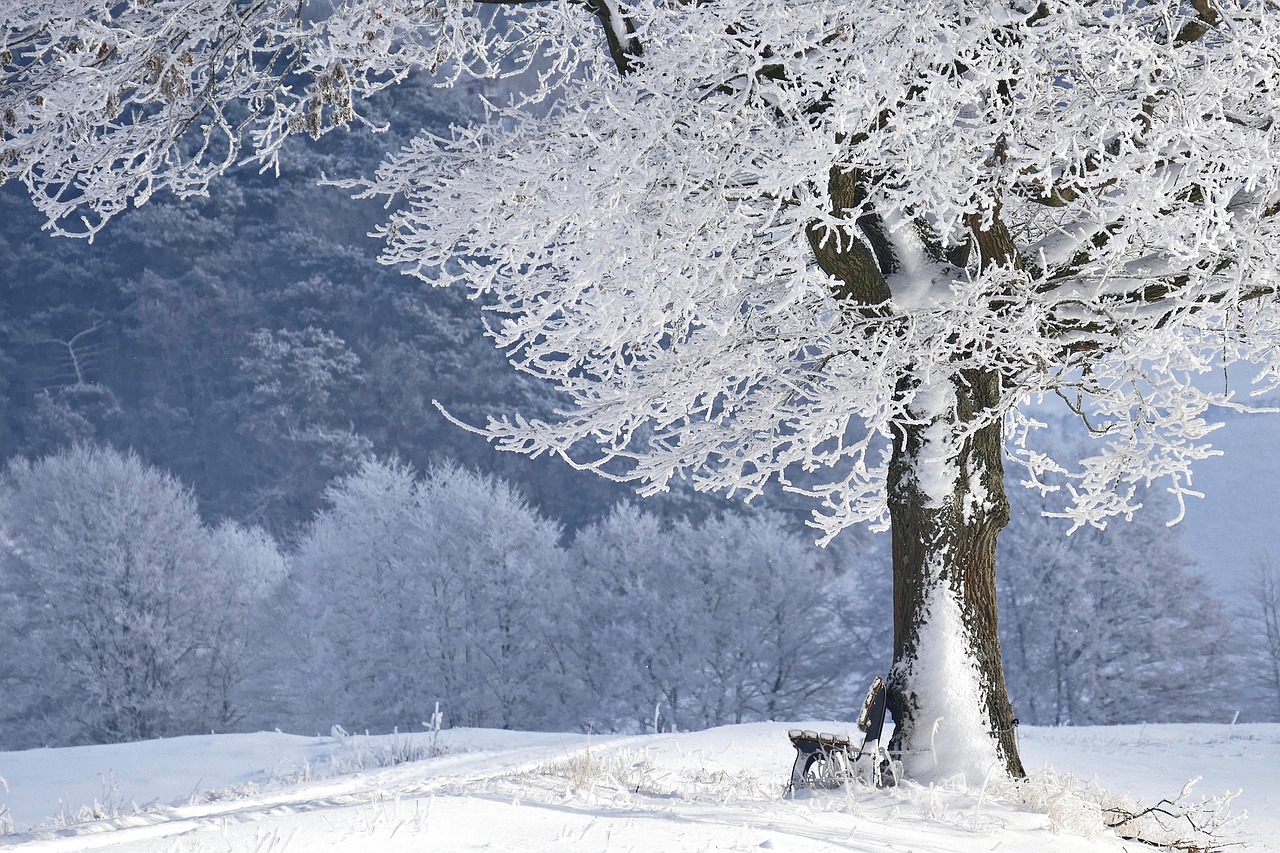 Winters tafereel: pinguïns op kleurrijk doek.